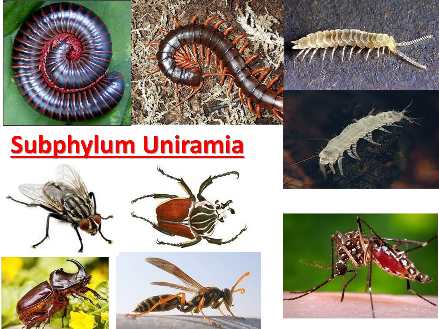 No preview available